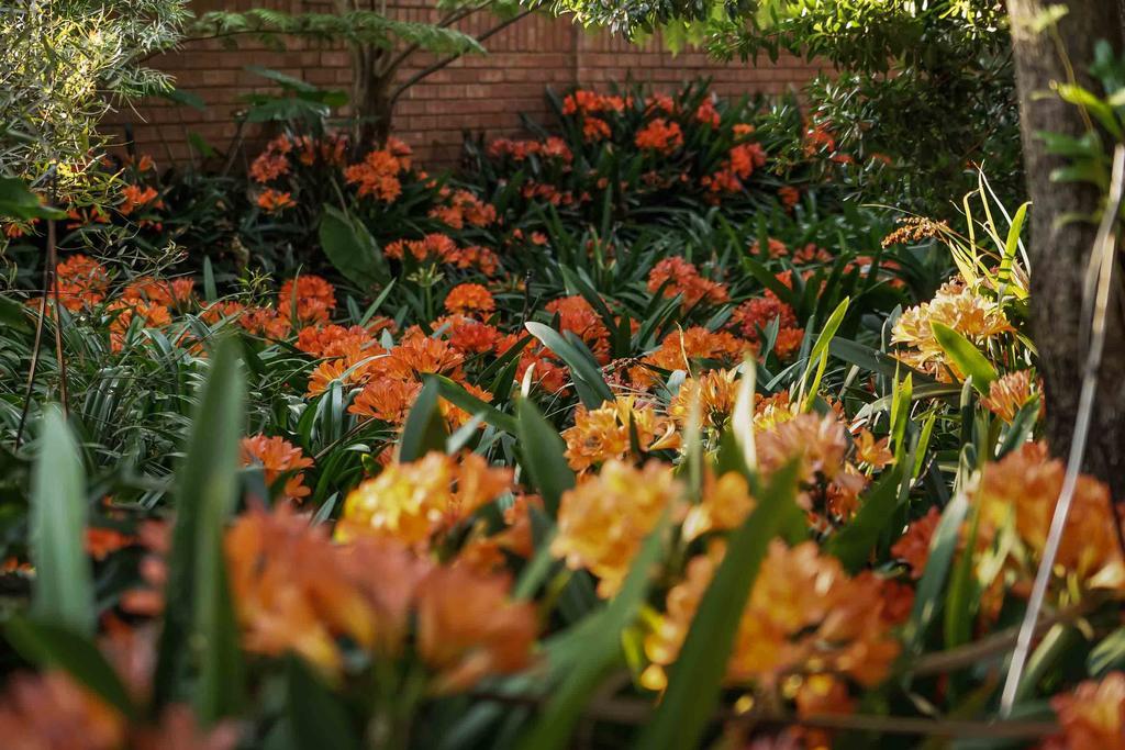 Hotel Hudson House Pretoria-Noord Zewnętrze zdjęcie